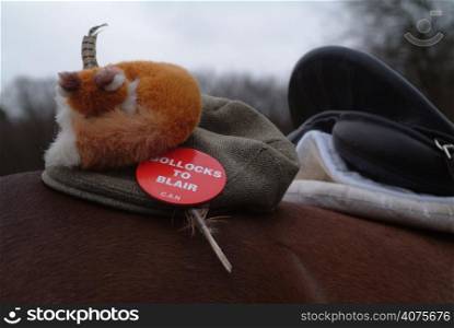 A badge on a cap protesting against the fox hunting ban