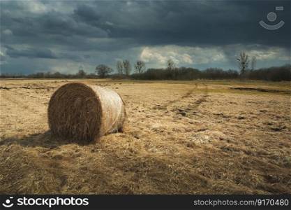 A bale of hay lying on a dry meadow and a cloudy sky, spring view