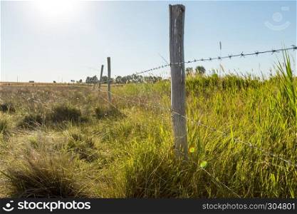 A barbed wire fence with wooden post with meadow on background in the countryside. A barbed wire fence with wooden post