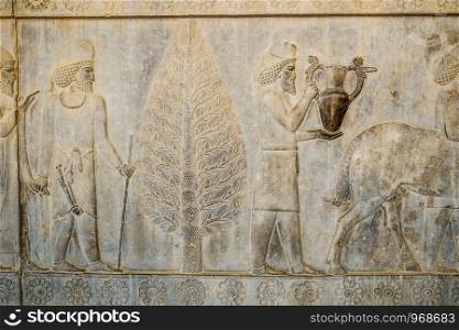A bas-relief depiction of Armenian and Babylonian tribute bearer men carry present for the king at Apadana, East Stairs, southern part of Persepolis. Fars Province, Shiraz, Iran.