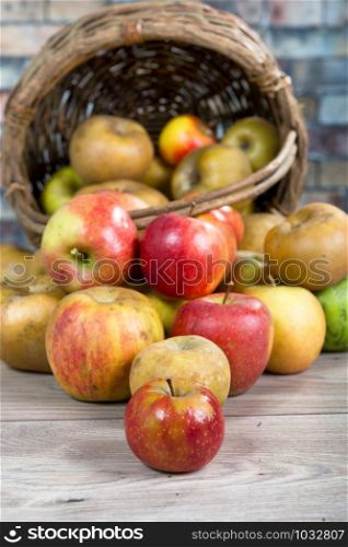 a basket of apples spilled on the table