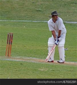 A batsman on a cricket pitch