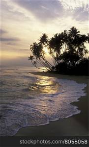 a beach at the coast of Hikaduwa at the westcoast of Sri Lanka in Asien.. SRI LANKA HIKKADUWA BEACH