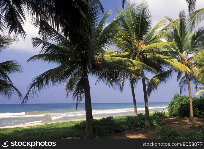 a beach at the coast of Hikaduwa at the westcoast of Sri Lanka in Asien.. SRI LANKA HIKKADUWA BEACH