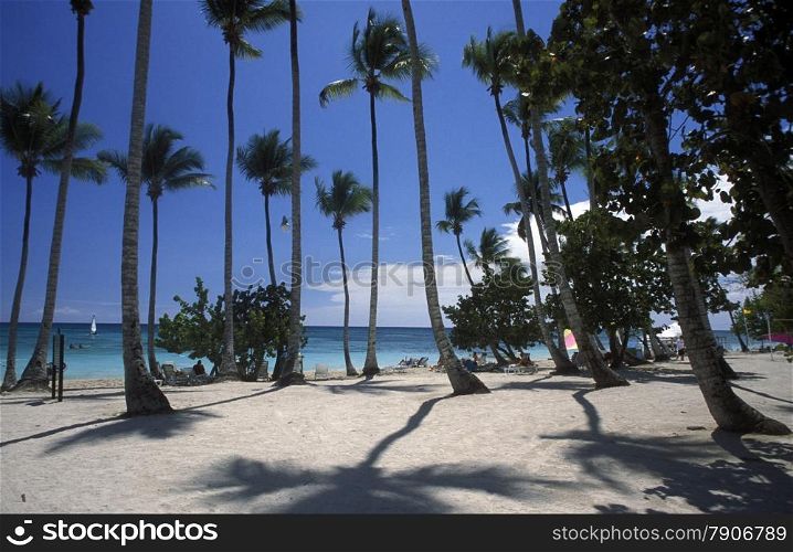 a Beach at the Village of Bavaro in the Dominican Republic in the Caribbean Sea in Latin America.. AMERICA CARIBIAN SEA DONINICAN REPUBLIC