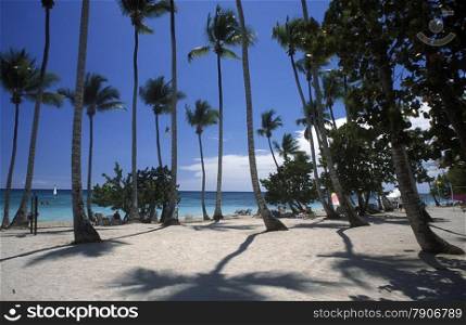 a Beach at the Village of Bavaro in the Dominican Republic in the Caribbean Sea in Latin America.. AMERICA CARIBIAN SEA DONINICAN REPUBLIC