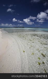 a beach at the village on the Gran Roque Island at the Los Roques Islands in the caribbean sea of Venezuela.. SOUTH AMERICA VENEZUELA LOS ROQUES ISLAND