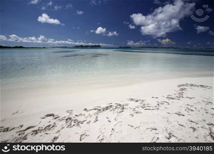 a beach at the village on the Gran Roque Island at the Los Roques Islands in the caribbean sea of Venezuela.. SOUTH AMERICA VENEZUELA LOS ROQUES ISLAND