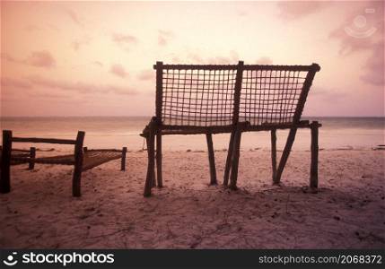 a Beach Chair at a Restaurant and Guesthouse on the Beach with the Landscape at the East Coast at the Village of Bwejuu on the Island of Zanzibar in Tanzania. Tanzania, Zanzibar, Bwejuu, October, 2004