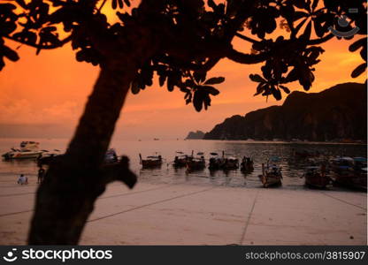 A Beach in the Town of Ko PhiPhi on Ko Phi Phi Island outside of the City of Krabi on the Andaman Sea in the south of Thailand. . THAILAND