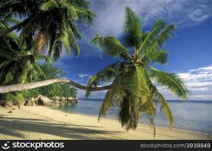 a Beach on the coast if the Island La Digue of the seychelles islands in the indian ocean. INDIAN OCEAN SEYCHELLES LA DIGUE BEACH