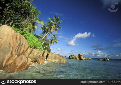 a Beach on the coast if the Island La Digue of the seychelles islands in the indian ocean. INDIAN OCEAN SEYCHELLES LA DIGUE BEACH