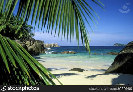 a Beach on the coast if the Island La Digue of the seychelles islands in the indian ocean. INDIAN OCEAN SEYCHELLES LA DIGUE BEACH