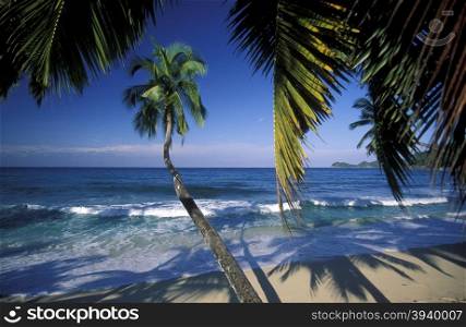 a Beach on the coast if the Island Praslin of the seychelles islands in the indian ocean. INDIAN OCEAN SEYCHELLES PRASLIN BEACH