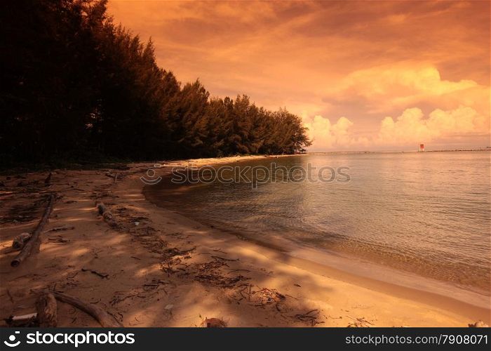 a Beach on the coast near the city of Bandar seri Begawan in the country of Brunei Darussalam on Borneo in Southeastasia.. ASIA BRUNEI DARUSSALAM