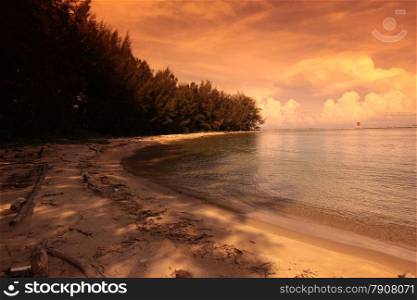 a Beach on the coast near the city of Bandar seri Begawan in the country of Brunei Darussalam on Borneo in Southeastasia.. ASIA BRUNEI DARUSSALAM