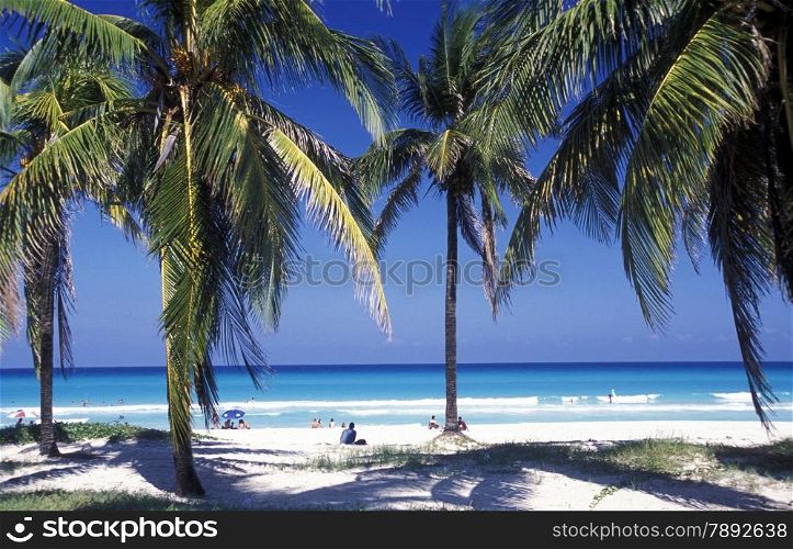 a beach on the coast of Varadero on Cuba in the caribbean sea.. AMERICA CUBA VARADERO BEACH