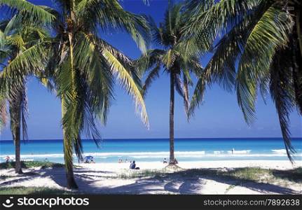 a beach on the coast of Varadero on Cuba in the caribbean sea.. AMERICA CUBA VARADERO BEACH