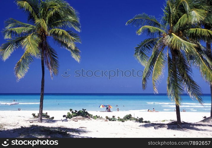 a beach on the coast of Varadero on Cuba in the caribbean sea.. AMERICA CUBA VARADERO BEACH