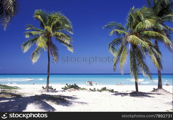 a beach on the coast of Varadero on Cuba in the caribbean sea.. AMERICA CUBA VARADERO BEACH