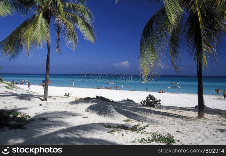 a beach on the coast of Varadero on Cuba in the caribbean sea.. AMERICA CUBA VARADERO BEACH