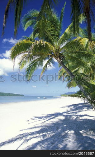 a beach with Landscape naer Ayer Hangat Village in the north of the Island of Langkawi in Malaysia. Malaysia, Langkawi, January, 2003