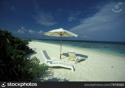 a beach with the seascape of the island and atoll of the Maldives Islands in the indian ocean.. ASIA INDIAN OCEAN MALDIVES SEASCAPE BEACH