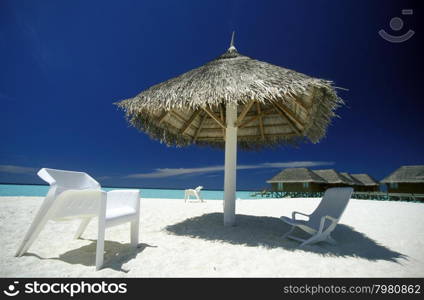 a beach with the seascape of the island and atoll of the Maldives Islands in the indian ocean.. ASIA INDIAN OCEAN MALDIVES SEASCAPE BEACH