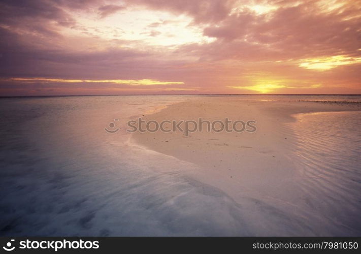 a beach with the seascape of the island and atoll of the Maldives Islands in the indian ocean.. ASIA INDIAN OCEAN MALDIVES SEASCAPE BEACH