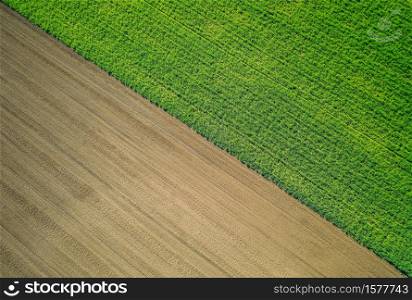 A beautiful aerial shot of a green agricultural field. Beautiful aerial shot of a green agricultural field