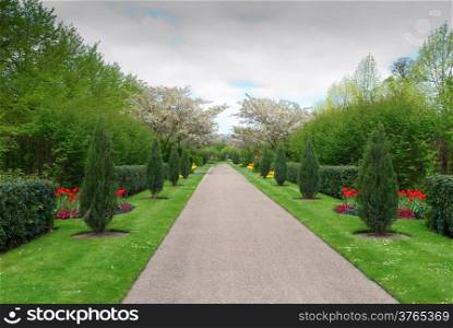 A beautiful alley in the Park with exotic plants