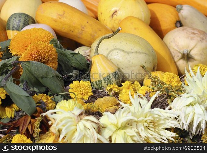 A beautiful autumn composition made from various varieties of pumpkin