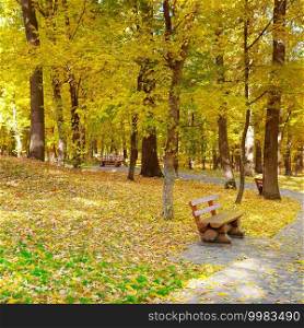 A beautiful autumn park with alleys and benches for relaxation.
