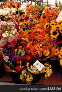 A beautiful, colorful flower stall on a farmers market on Ottawa, Canada.