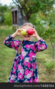 A beautiful girl with apples in her arms, in a garden on the farm.. Lovely girl with apples in the hands in the garden .