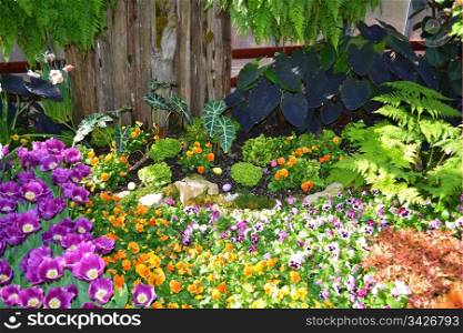 A beautiful indoor garden and flower show in very early spring in thebotanic garden in Hamilton Ontario, Canada.