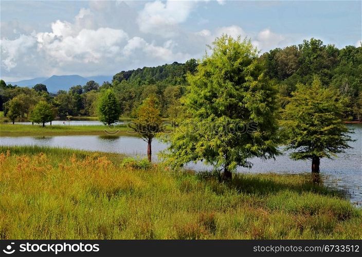 A beautiful lake area with mountains in the distance. This is a marsh area of Lake Chatuge in Georgia.