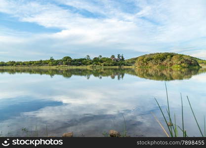 A beautiful lake in the middle of Mokolodi Nature Reserve in Botswana