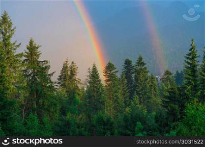 a beautiful natural phenomenon, two rainbows against the backdro. a beautiful natural phenomenon, two rainbows against the backdrop of mountains covered with forest after rain