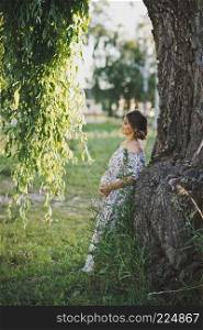 A beautiful portrait of a pregnant girl near a fallen branch of a weeping willow tree.. Portrait of a girl at the trunk of a weeping willow 1728.