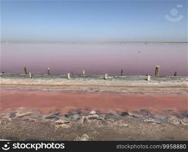 A beautiful salt lake with pink water. Beautiful view of pink lake on summer day 