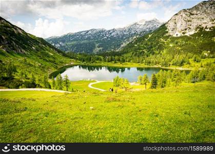 A beautiful scenery of a green valley near the Alp mountains in Austria under the cloudy sky. Beautiful scenery of a green valley near the Alp mountains in Austria under the cloudy sky