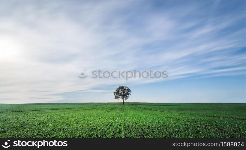 A beautiful scenery of a greenfield under the cloudy sky in North Germany. Beautiful scenery of a greenfield under the cloudy sky in North Germany