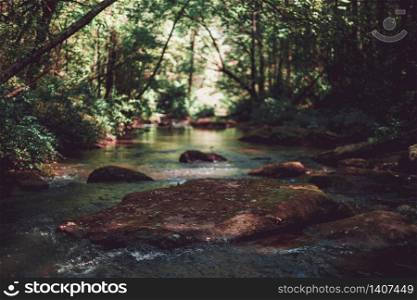 A beautiful shot of a little river in a forest. Beautiful shot of a little river in a forest