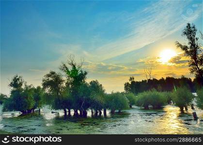 a beautiful sunset on the lake. Danube, Romania