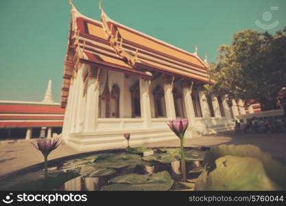 A beautiful temple in Thailand with a lilly in the foreground