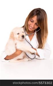 A beautiful veterinarian with a golden retriever puppy