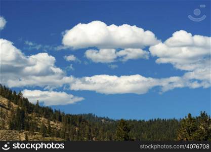 A beautiful view of alpine meadow with white clouds and blue sky