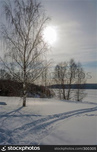 A beautiful winter landscape in contoured light with a snowy slope and birches on a Sunny day.