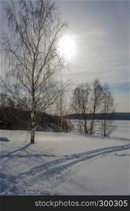 A beautiful winter landscape in contoured light with a snowy slope and birches on a Sunny day.
